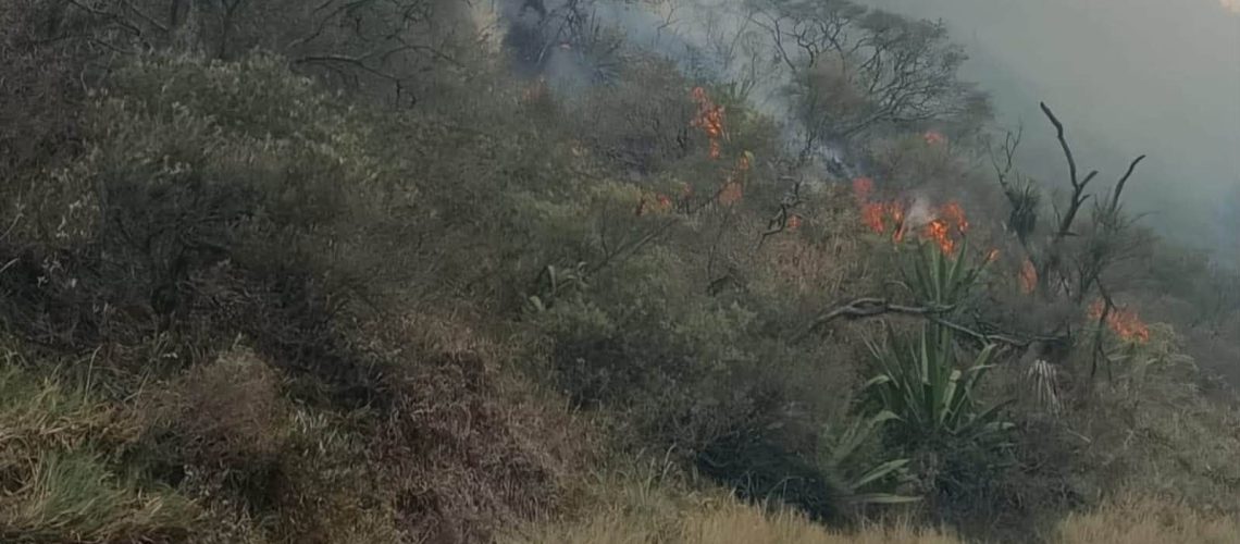 INCENDIO AMACA