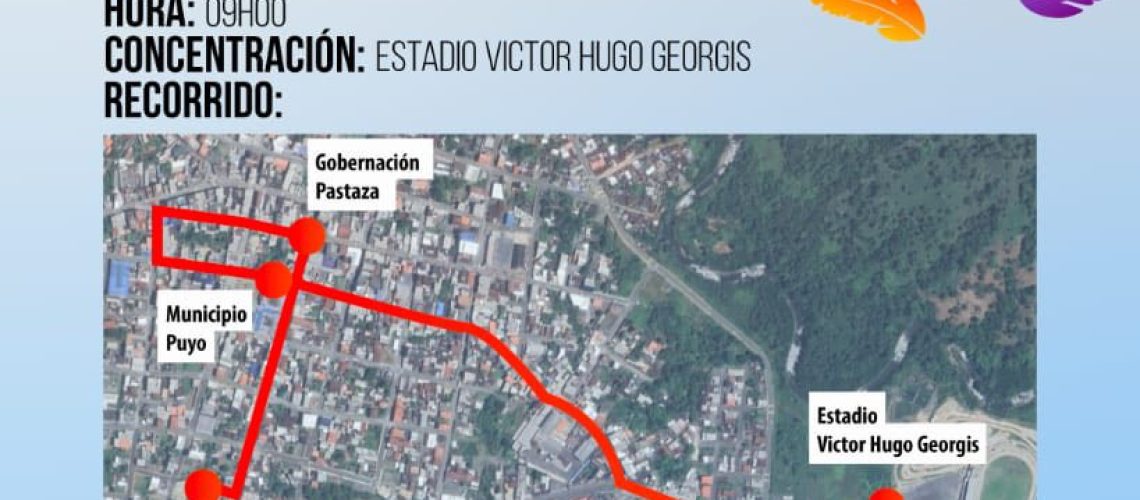 MOVILIZACION