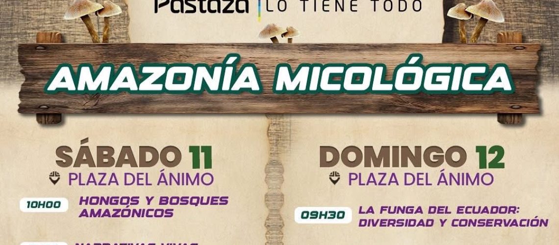 TURISMO SABADO DOMINGO